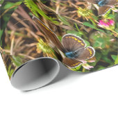 Gemeiner Blauer Schmetterling Polyommatus Icarus M Geschenkpapier (Rolleneckpunkt)