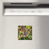 Gemeiner Blauer Schmetterling Polyommatus Icarus M Magnet (In Situ (Geschirrspüler))
