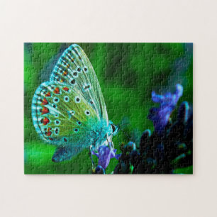 Gemeiner Blauer Schmetterling Puzzle