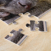 Gemeiner Brauner Lemur, Jigsaw Puzzle (Seite)