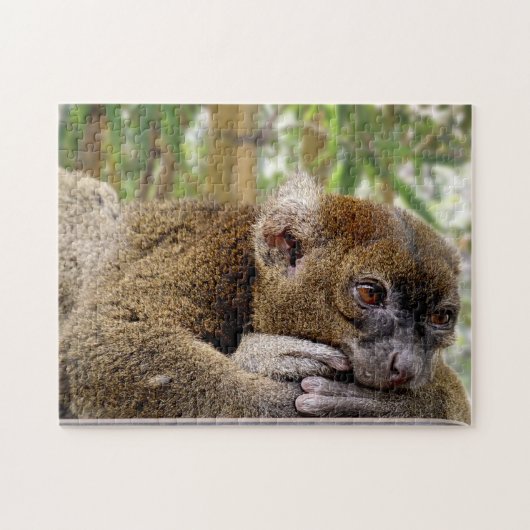 Gemeiner Brauner Lemur, Jigsaw Puzzle (Horizontal)