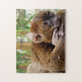 Gemeiner Brauner Lemur, Jigsaw Puzzle (Vertikal)