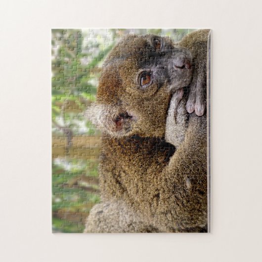 Gemeiner Brauner Lemur, Jigsaw Puzzle (Vertikal)