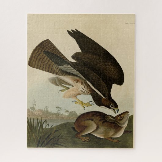 Gemeiner Buzzard - von Audubons Vögeln Amerikas Puzzle (Vertikal)