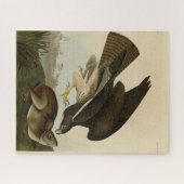 Gemeiner Buzzard - von Audubons Vögeln Amerikas Puzzle (Horizontal)