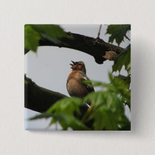 Gemeiner Chaffinch Button