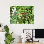 Gemeiner-Darten-Libellen-Plakat Poster (Heimbüro)