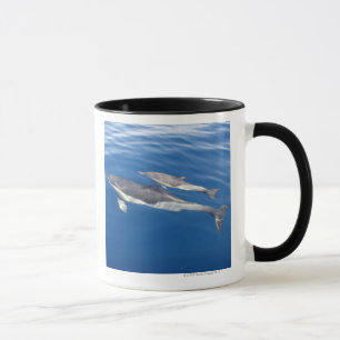 Gemeiner Delphin in der Straße Tasse