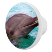 Gemeiner Delphin Keramikknauf (Rechts)