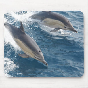 Gemeiner Delphin Mousepad