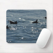 Gemeiner Delphin Mousepad Pazifiks (Mit Mouse)