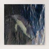 Gemeiner Dolphin-Schwimmen-Puzzle Puzzle (Horizontal)