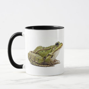 Gemeiner europäischer Frosch oder essbarer Frosch Tasse