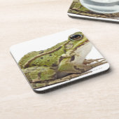 Gemeiner europäischer Frosch oder essbarer Frosch Untersetzer (Linke Seite)
