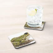 Gemeiner europäischer Frosch oder essbarer Frosch Untersetzer (Rechte Seite)