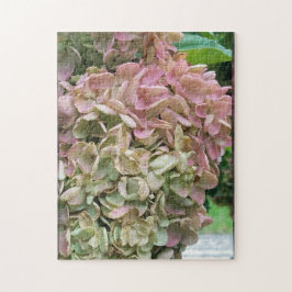 Gemeiner Garten Hydrangea Puzzle