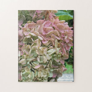 Gemeiner Garten Hydrangea Puzzle