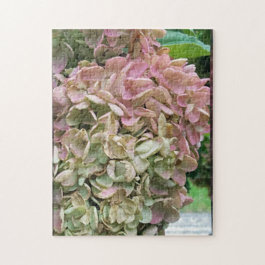 Gemeiner Garten Hydrangea Puzzle (Vertikal)