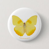 Gemeiner Gras-Gelb-Schmetterling Button (Vorderseite)