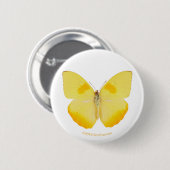 Gemeiner Gras-Gelb-Schmetterling Button (Vorne & Hinten)