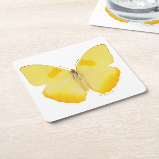 Gemeiner Gras-Gelb-Schmetterling Rechteckiger Pappuntersetzer (angewinkelt)