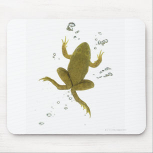 gemeiner grüner Frosch Mousepad