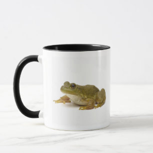 Gemeiner grüner Frosch Tasse