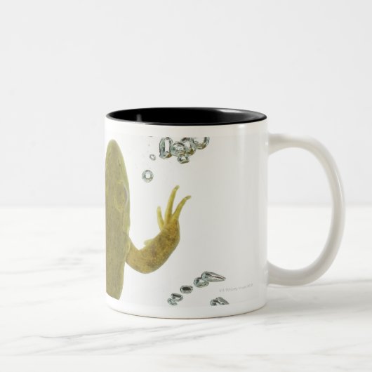 gemeiner grüner Frosch Zweifarbige Tasse (Rechts)