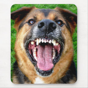 Gemeiner Hund mit den großen Zähnen Mousepad