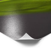 Gemeiner Kakao, Eleutherodactylus coqui Fotodruck (Ecke)