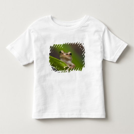 Gemeiner Kakao, Eleutherodactylus coqui Kleinkind T-shirt (Vorderseite)