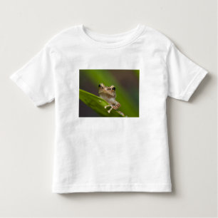 Gemeiner Kakao, Eleutherodactylus coqui Kleinkind T-shirt