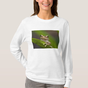 Gemeiner Kakao, Eleutherodactylus coqui T-Shirt