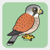 Gemeiner Kestrel Quadratischer Aufkleber (Vorderseite)