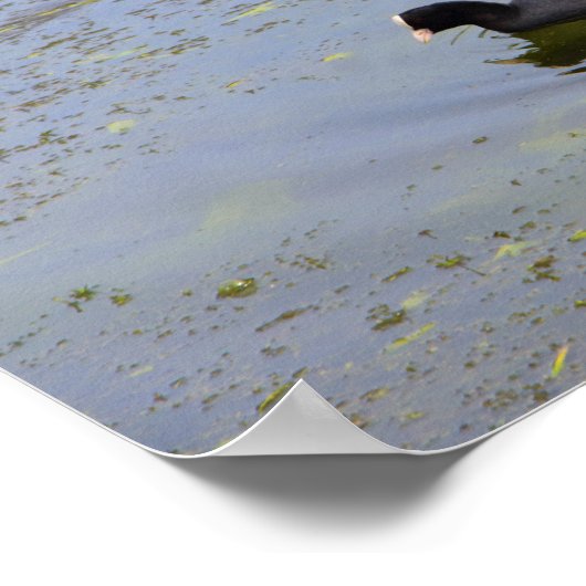 Gemeiner Kindergarten auf einem Weiher Poster (Ecke)