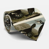 Gemeiner Kormoran - von Audubons Vögeln Amerikas Krawatte (Gerollt)