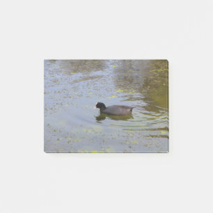 Gemeiner Kot auf einem Teich Post-it Klebezettel