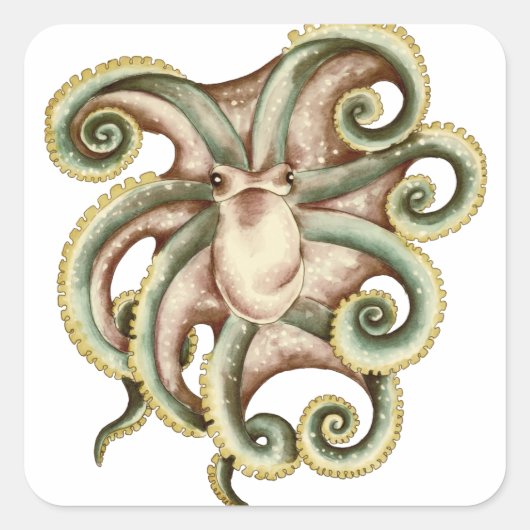 Gemeiner Kraken Quadratischer Aufkleber (Vorderseite)