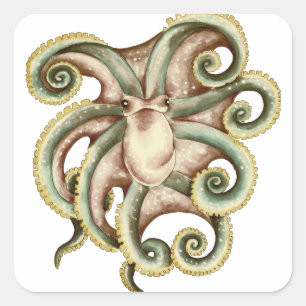 Gemeiner Kraken Quadratischer Aufkleber