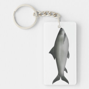 Gemeiner Labeo Schlüsselanhänger