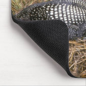 Gemeiner Loon auf Nest Mousepad (Ecke)