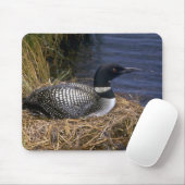 Gemeiner Loon auf Nest Mousepad (Mit Mouse)
