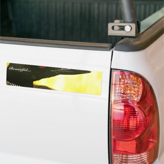 Gemeiner Loon Autoaufkleber (Auf Lkw)