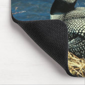Gemeiner Loon Mousepad (Ecke)