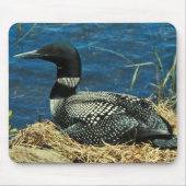 Gemeiner Loon Mousepad (Vorne)