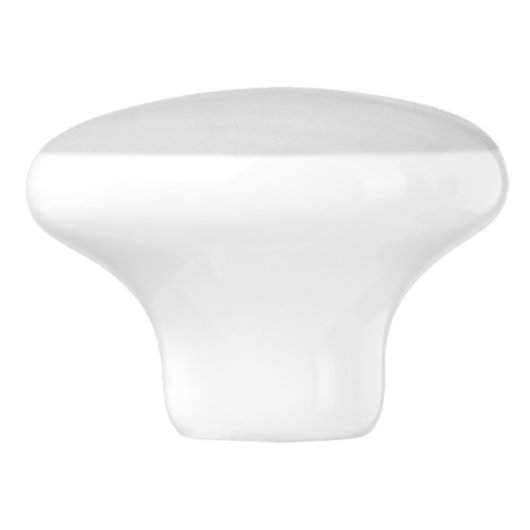 Gemeiner Loon Swims im Winter am Nordsee Keramikknauf (Seitenansicht)