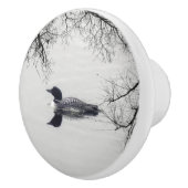 Gemeiner Loon Swims im Winter am Nordsee Keramikknauf (Rechts)