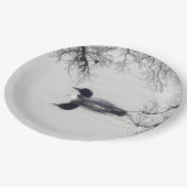 Gemeiner Loon Swims im Winter am Nordsee Pappteller (Schrägansicht)