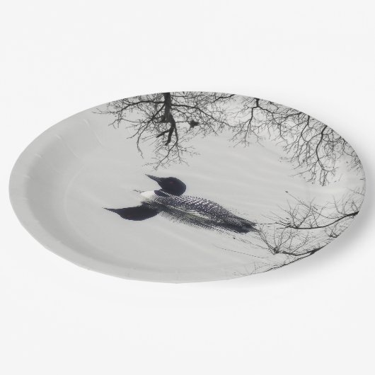 Gemeiner Loon Swims im Winter am Nordsee Pappteller (Schrägansicht)