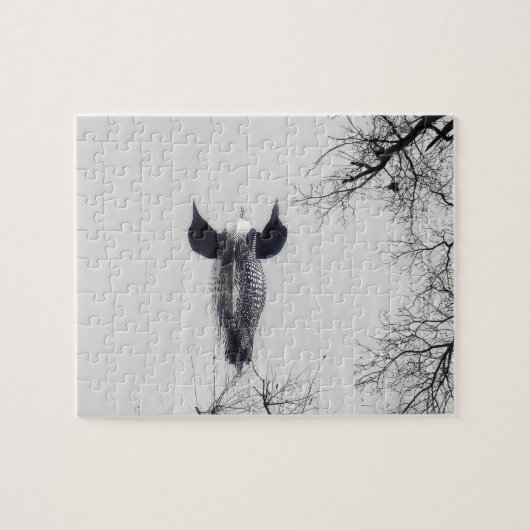Gemeiner Loon Swims im Winter am Nordsee Puzzle (Horizontal)